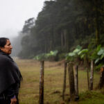 sentencia-20261013-3