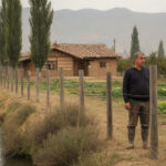 sentencia-20261029-2