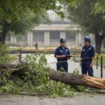Corte Suprema confirma indemnización a familia de víctima de caída de rama en Talca